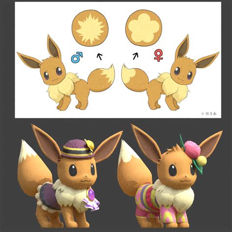 eevee serebii|eevee gender difference.